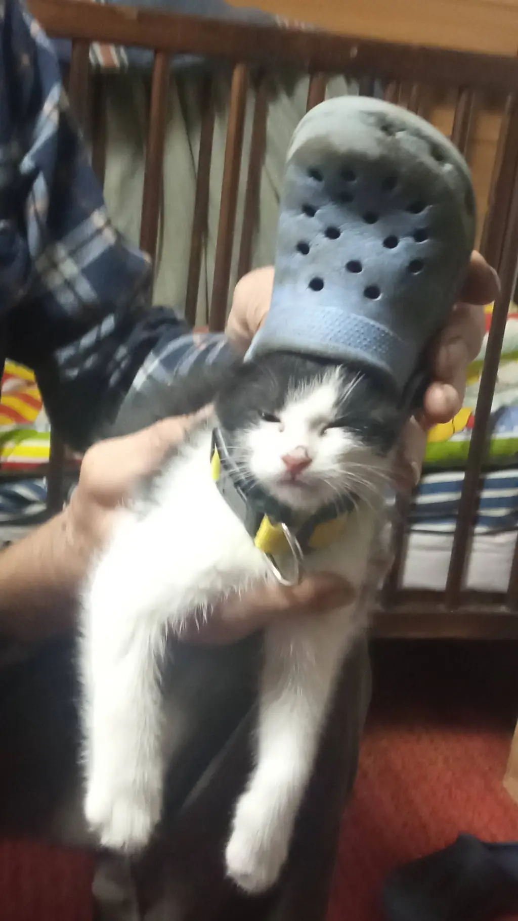 Talkie AI - Chat with Scp retro breach