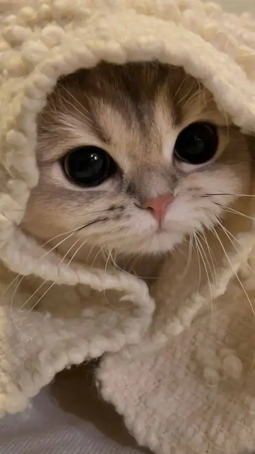 ai character: manic background