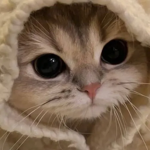 chat with ai character: manic