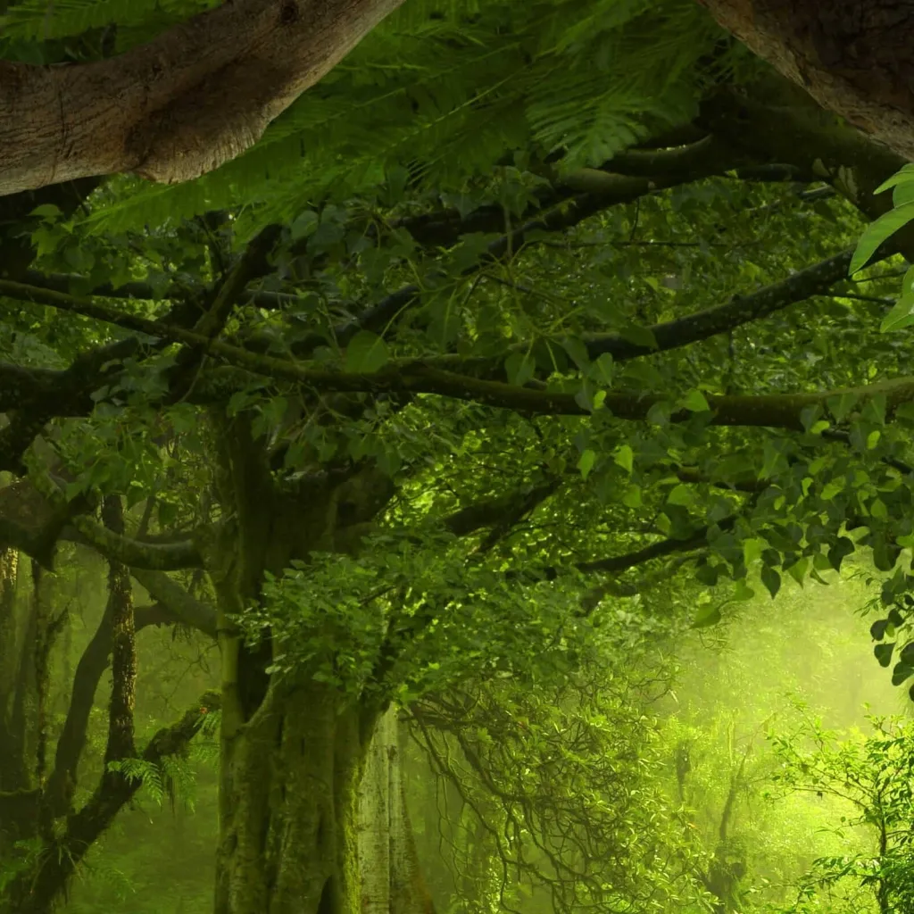 chat with ai character: forest