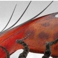 chat with ai character: Colmillo 