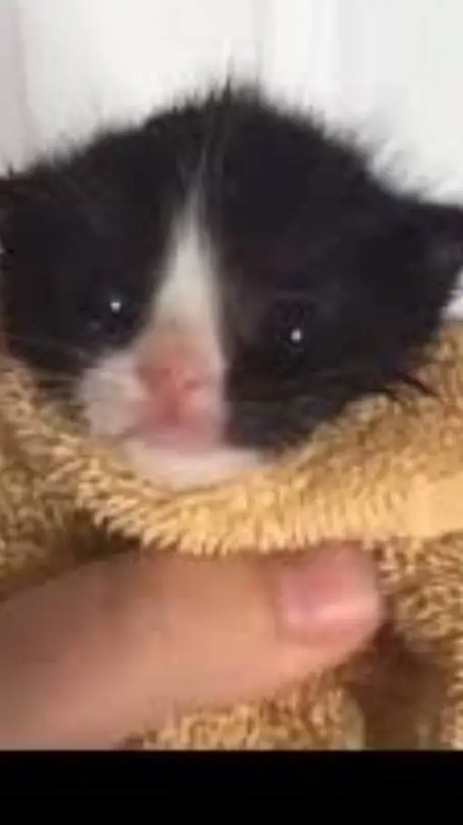 ai character: Michibebexddddd background