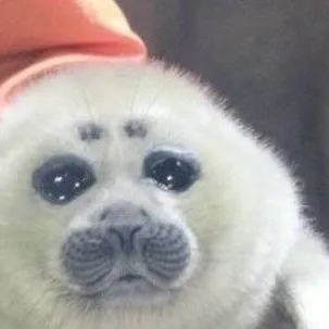 chat with ai character: poor seal