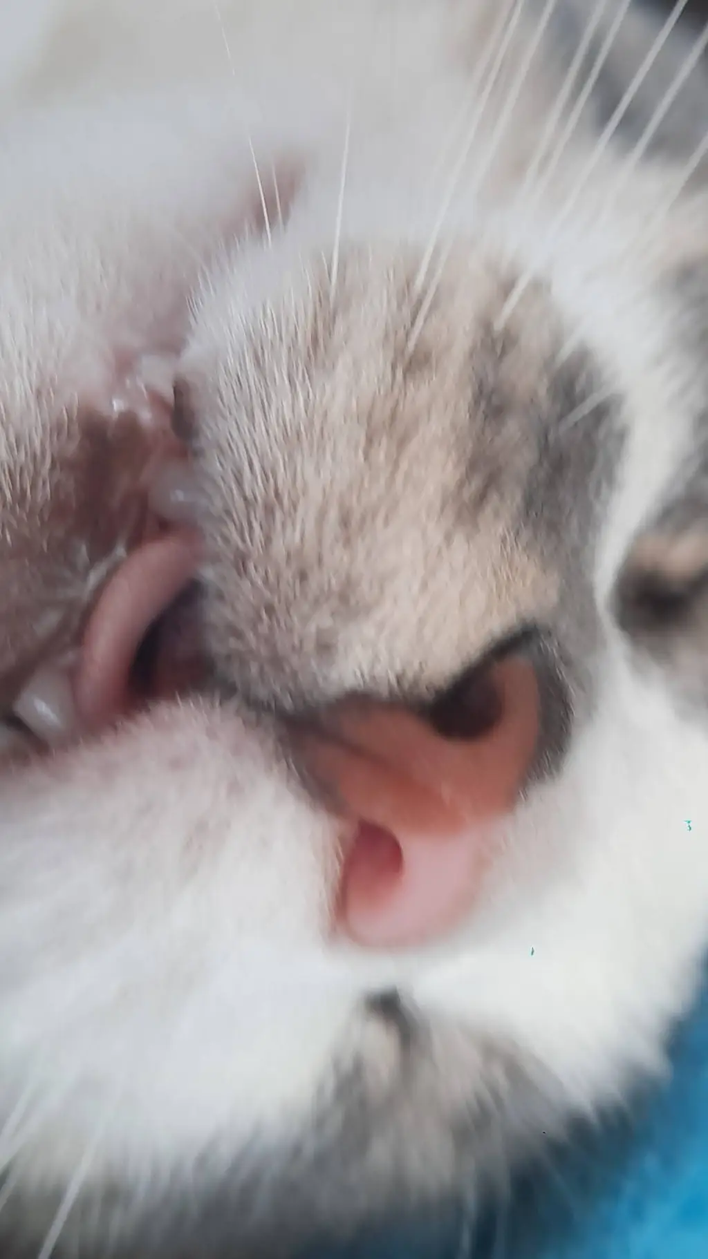 ai character: michi juan background