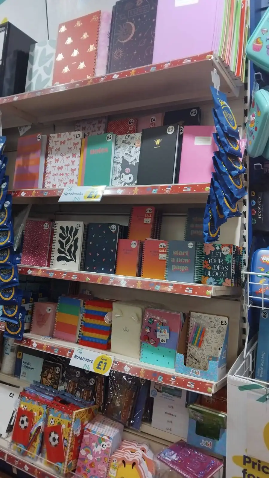 ai character: |•YEAR 8•| background