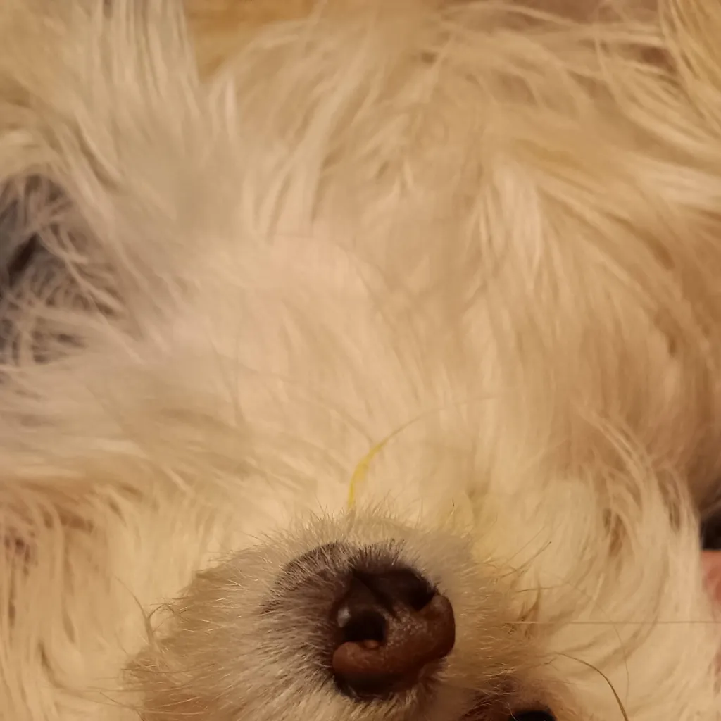 chat with ai character: creepypasta