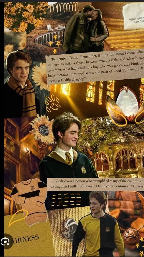 Talkie AI - Chat with Cedric diggory 