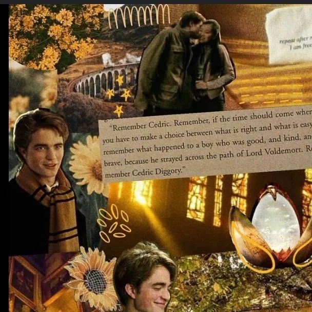 chat with ai character: Cedric diggory 