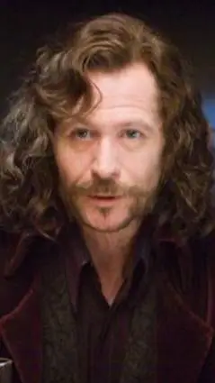 ai character: Sirius Black background