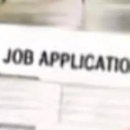 chat with ai character: JOB APPLICATION 