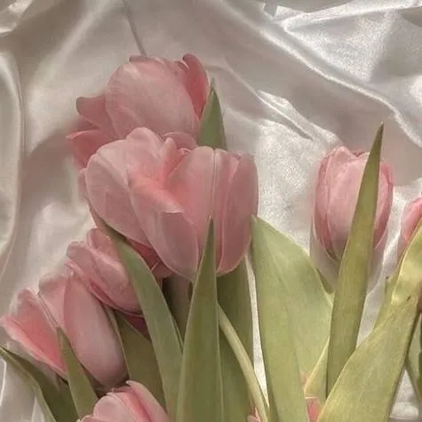 chat with ai character: 9 realms:3