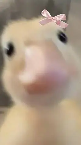 ai character: cute pet duck 🦆😍 background