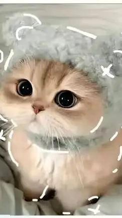 ai character: Z O E Y💕❤️ background