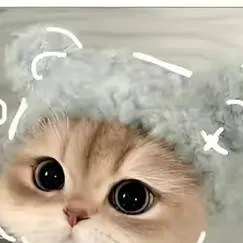 chat with ai character: Z O E Y💕❤️