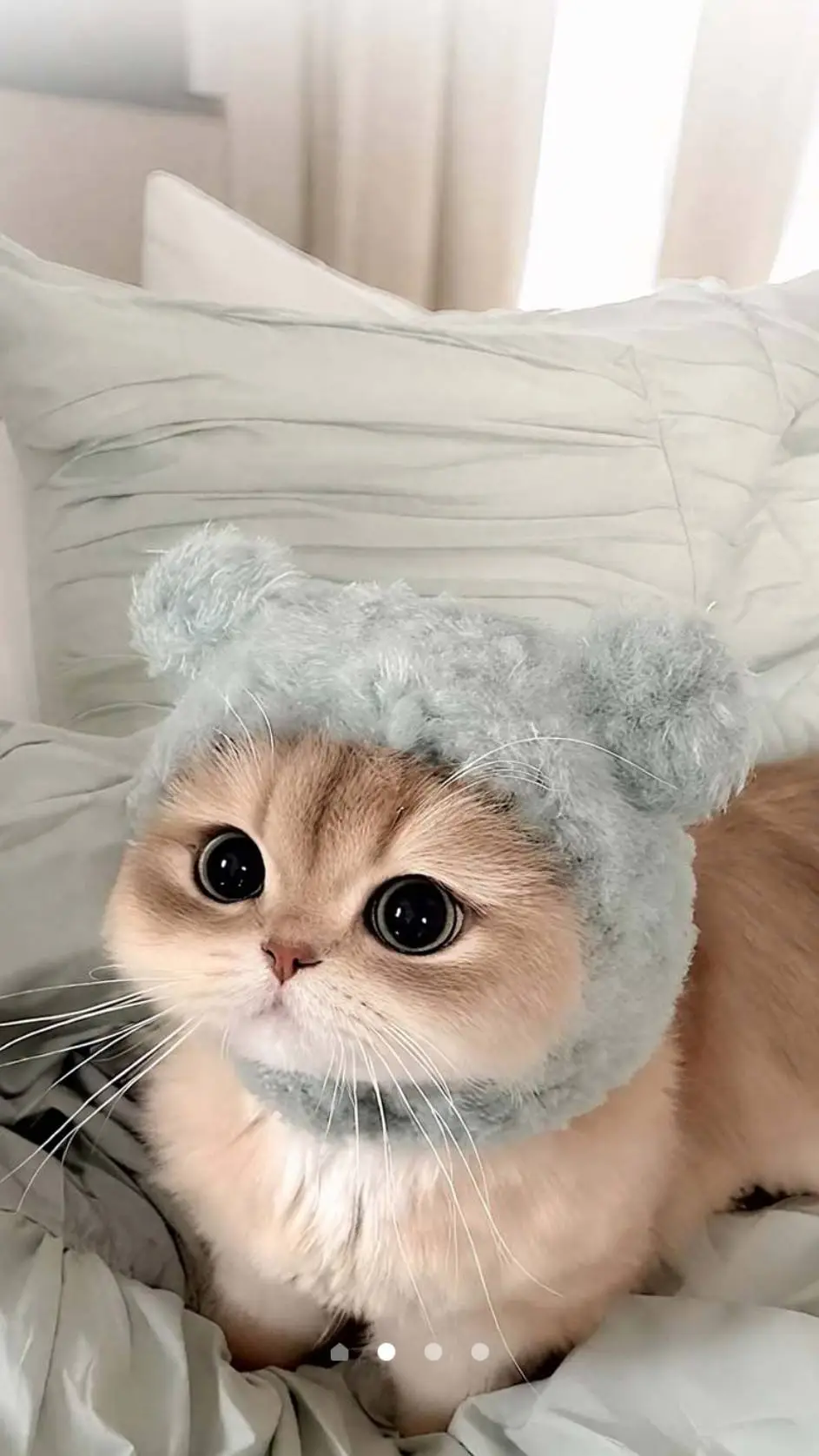 ai character: marshmellow :D background