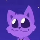 chat with ai character: Catnap