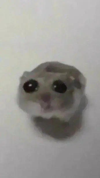 ai character: ХОМЯК background