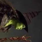 chat with ai character: Wicked: For Good