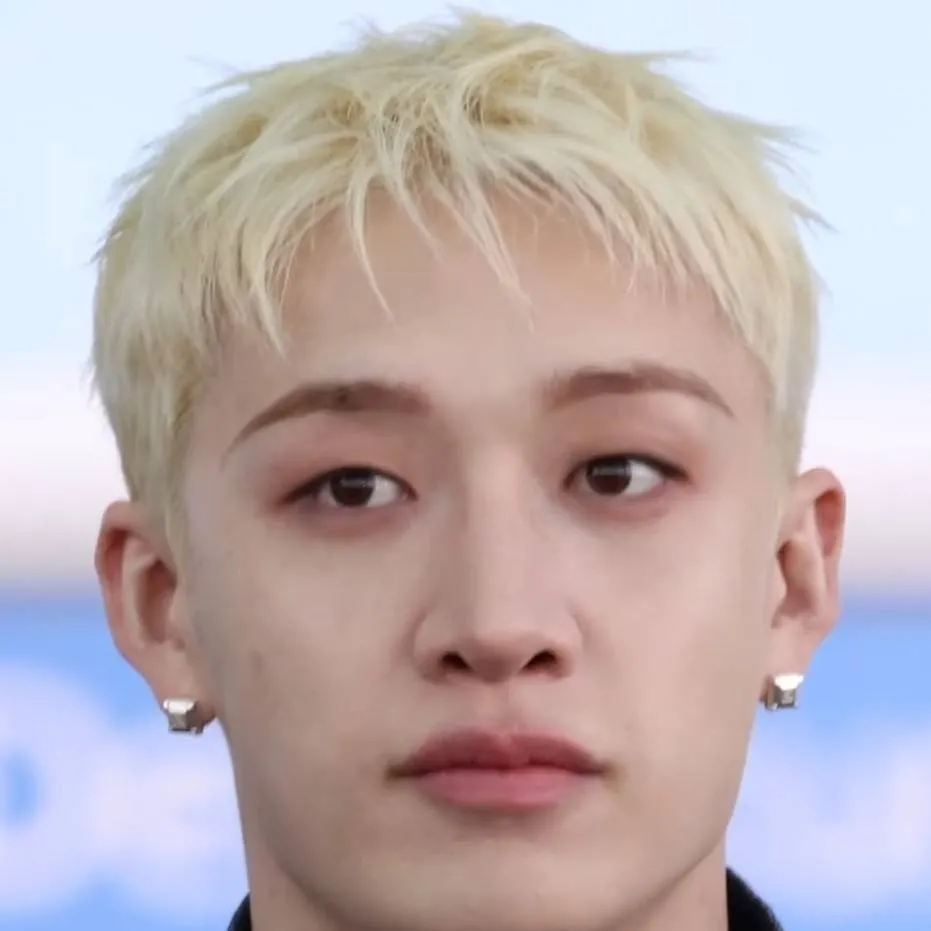 chat with ai character: 🚼Bangchan🚼