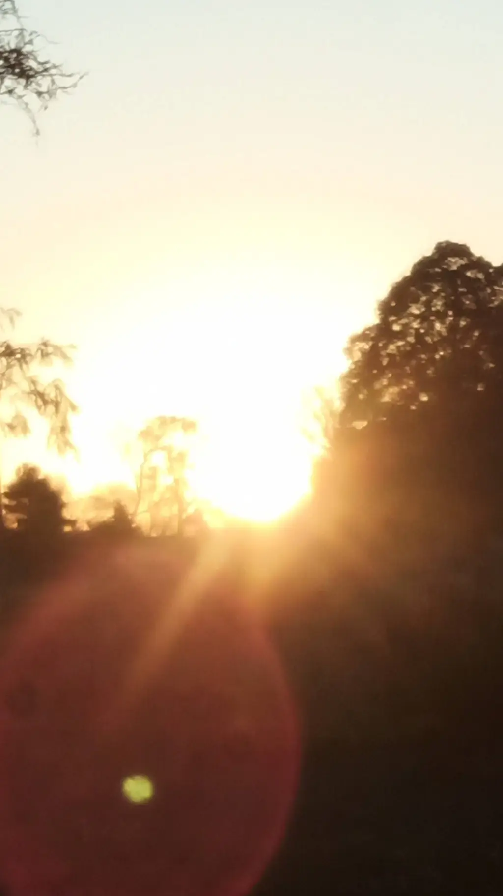 ai character: Endeavor fam  background