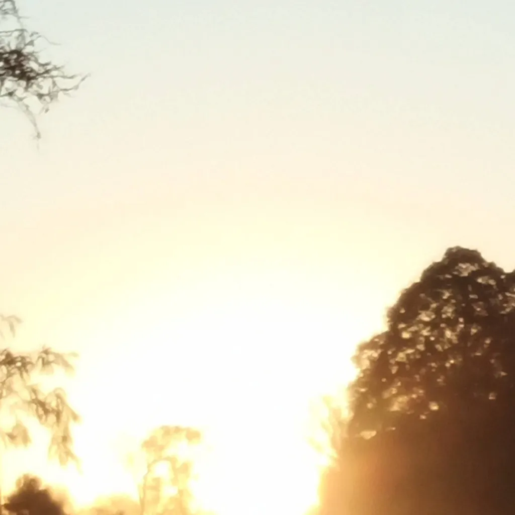 chat with ai character: Endeavor fam 