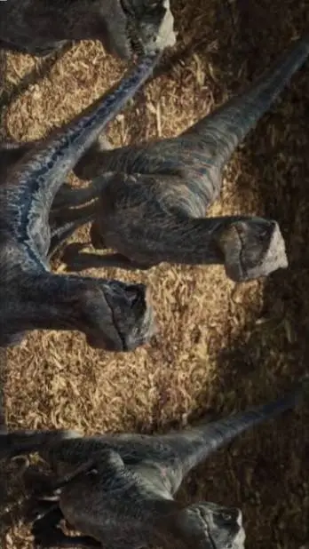 ai character: Raptor Squad background