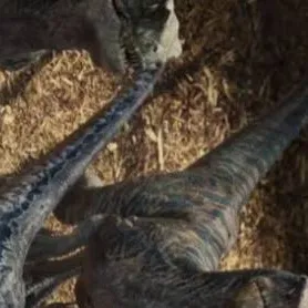 chat with ai character: Raptor Squad