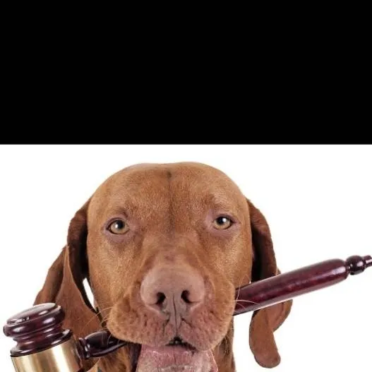 chat with ai character: my pride x sins