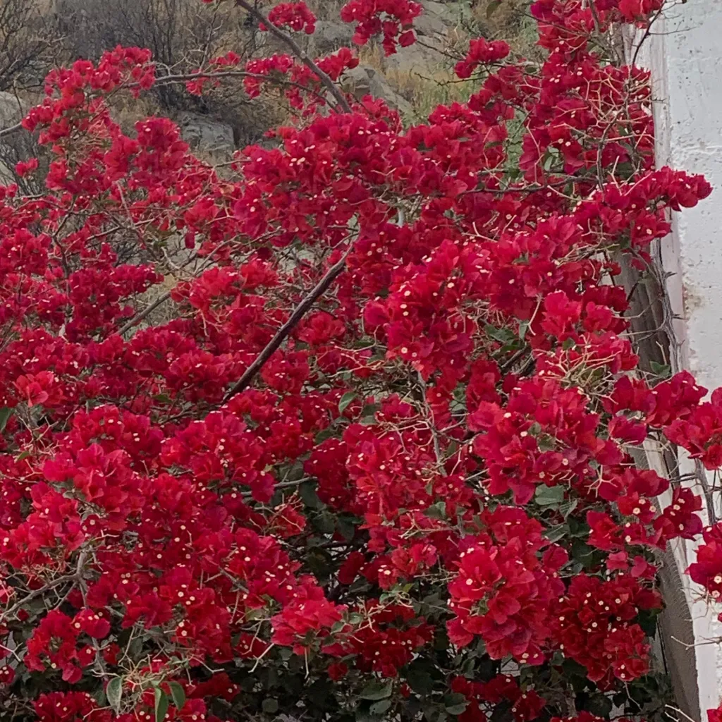 chat with ai character: Dw and Dogman 