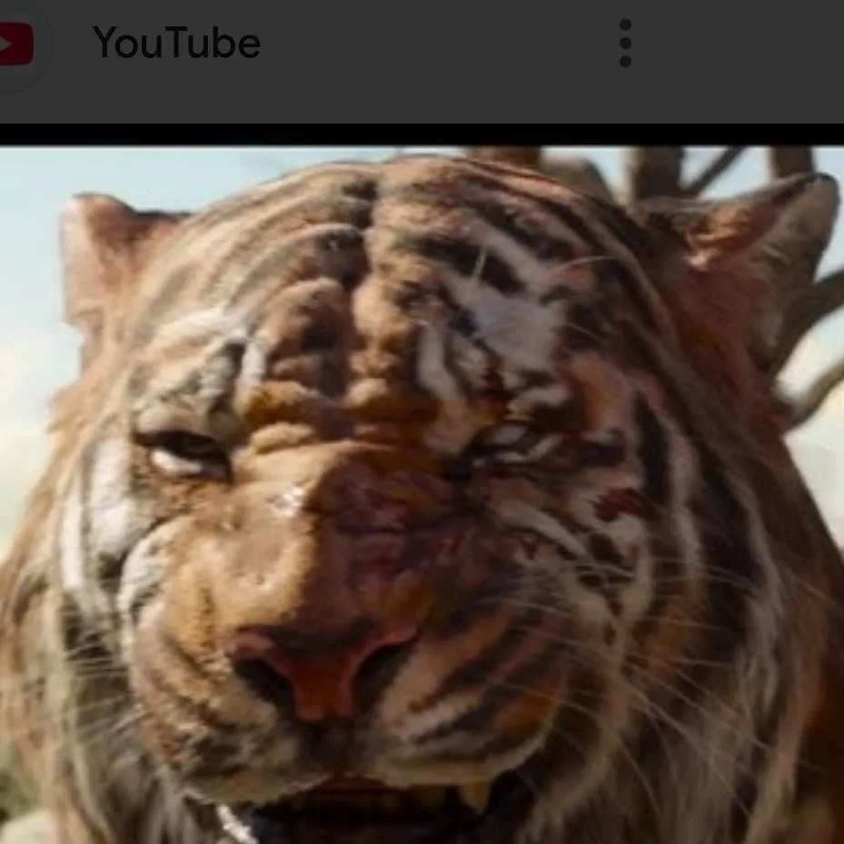 chat with ai character: shilcan 🐅