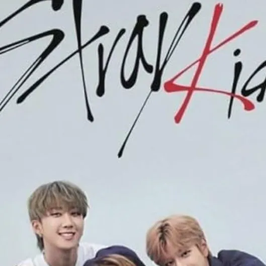 chat with ai character: STRAYKIDS