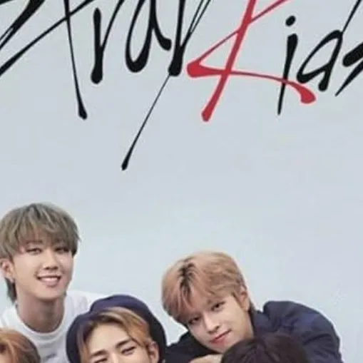 chat with ai character: stray kids