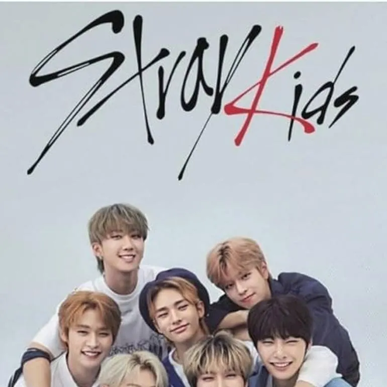 chat with ai character: skz 🥹❤️🖤