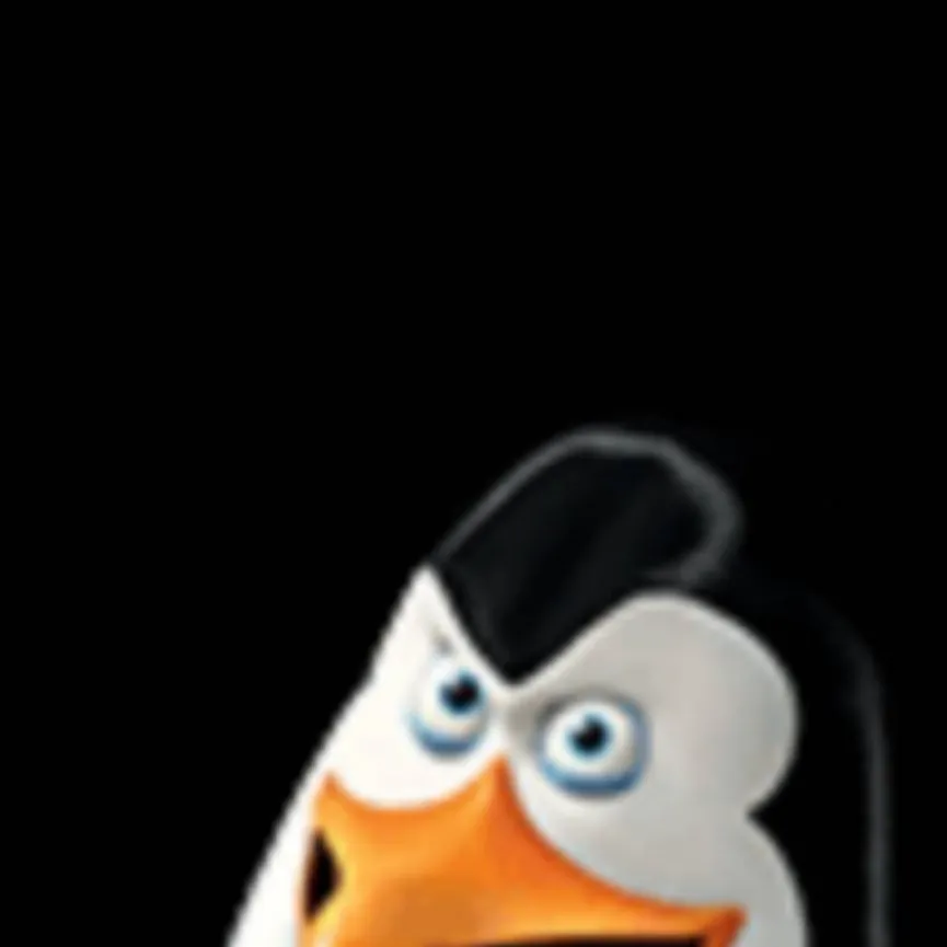 chat with ai character: Kowalski