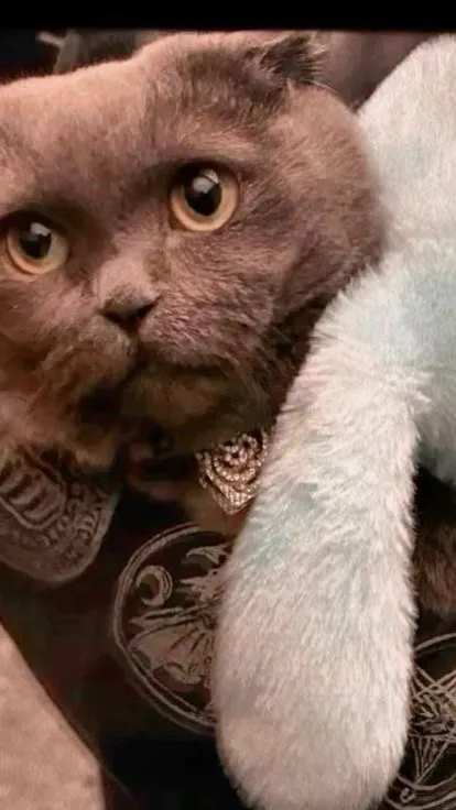 ai character: Gd& Zoa  background