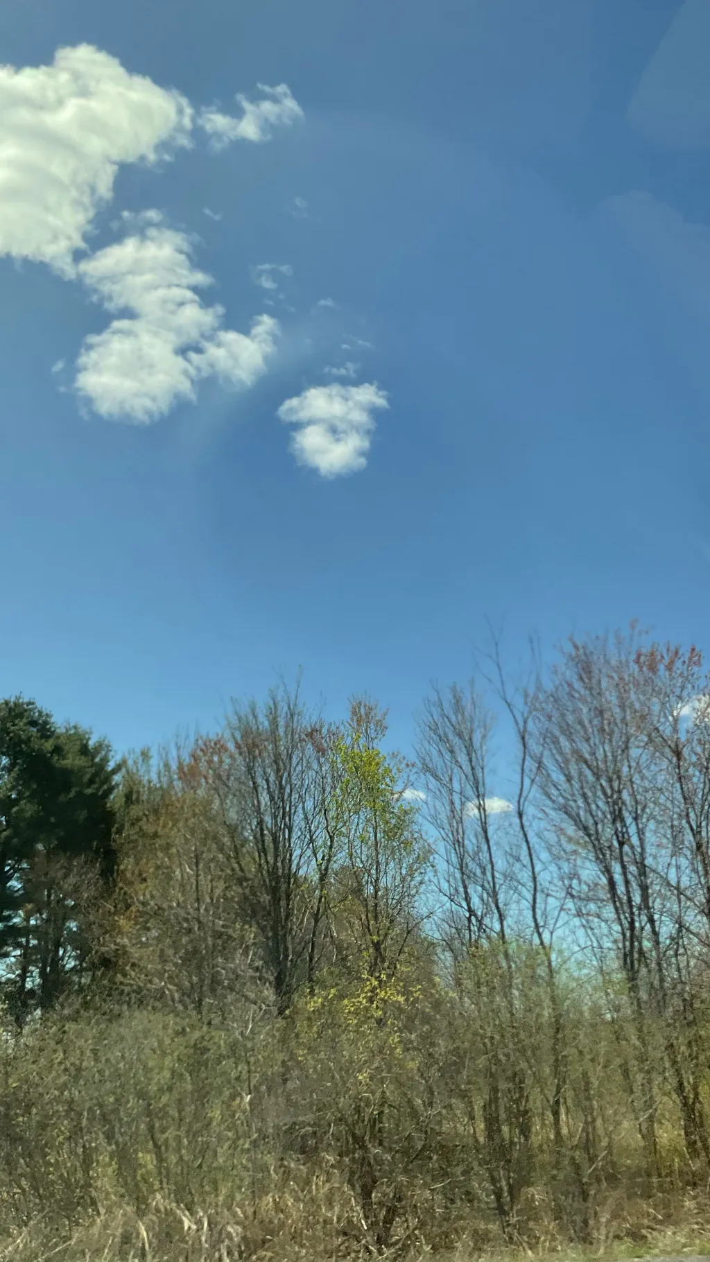 ai character: Forsaken tp 2you?? background