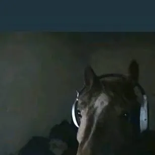 chat with ai character: друг