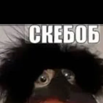 chat with ai character: скебоб