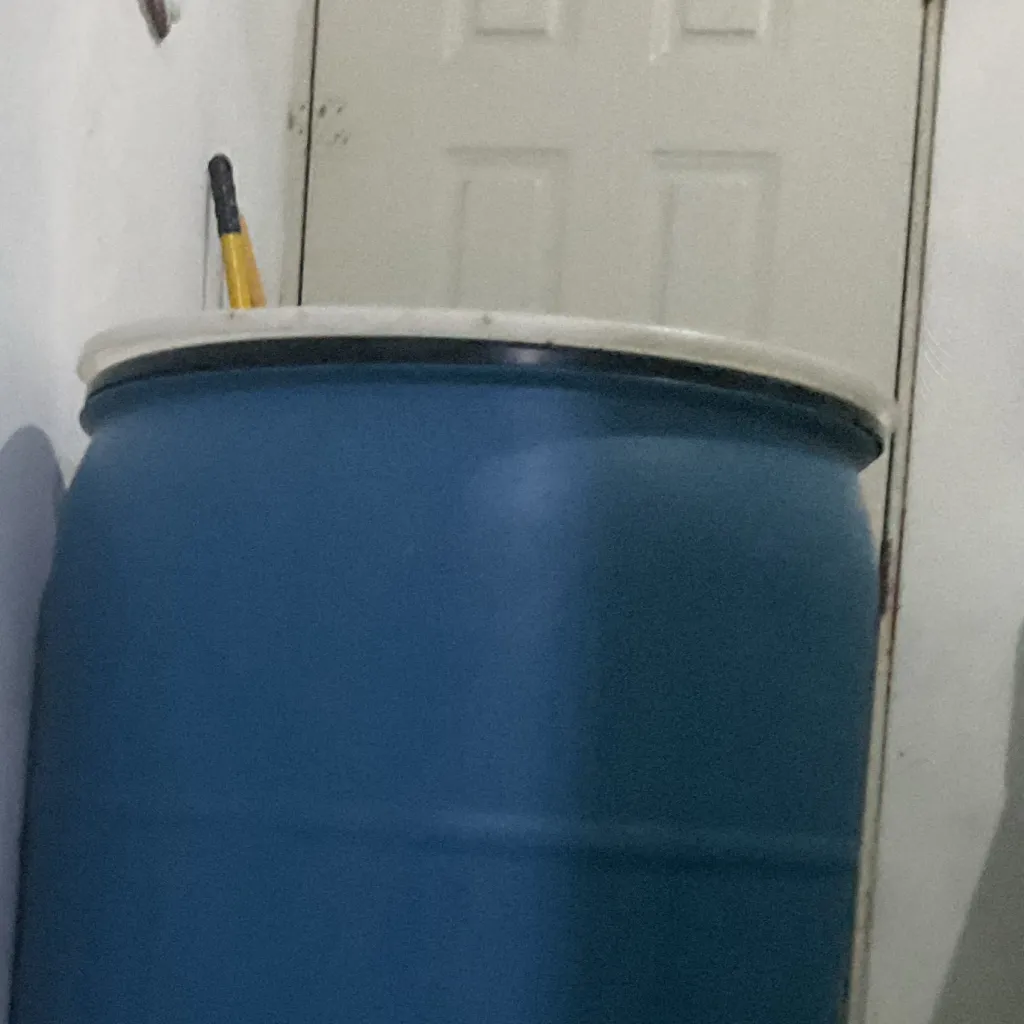 chat with ai character: ￼Varica