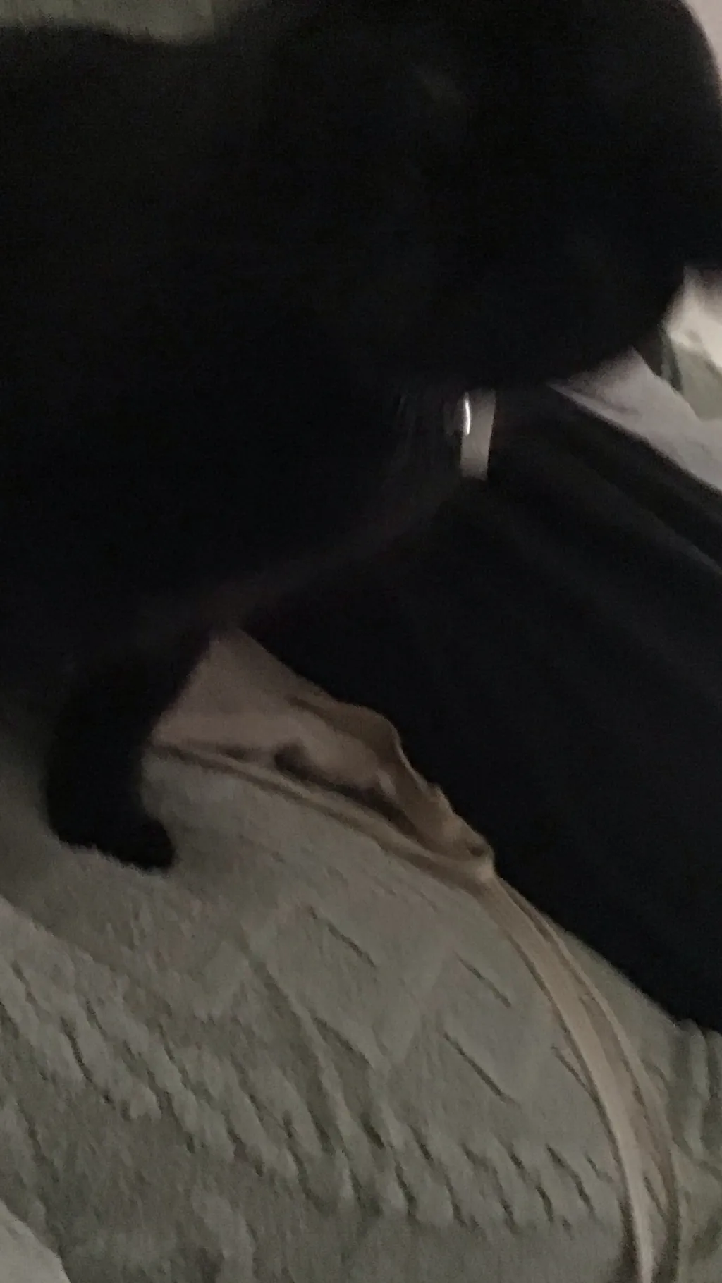 ai character: 🌸JAY🌺 background