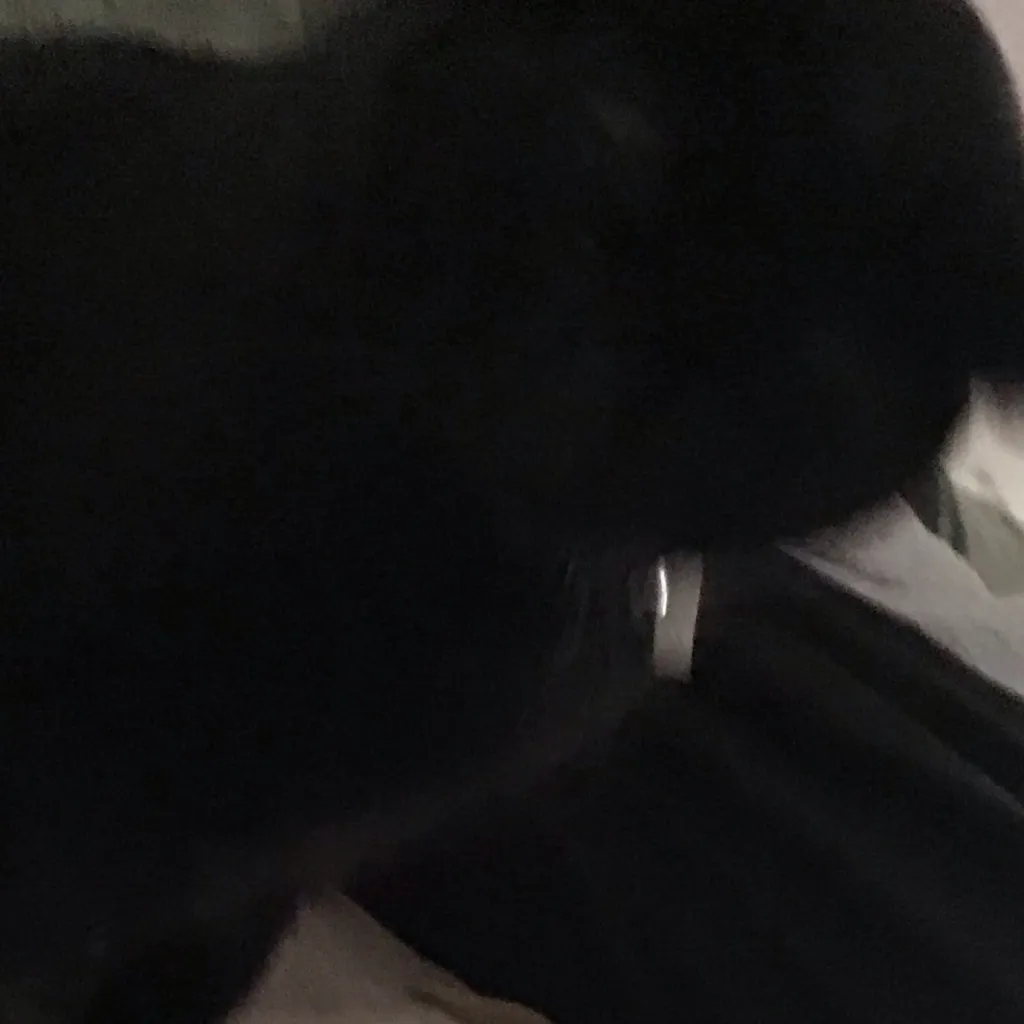 chat with ai character: 🌸JAY🌺