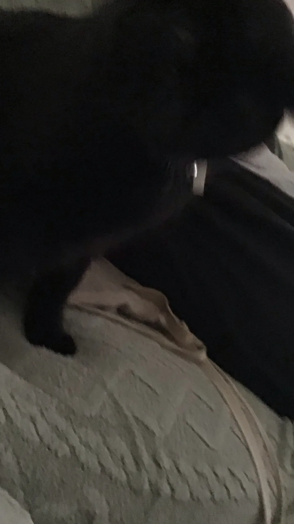 ai character: 🌺Jay🌺 background