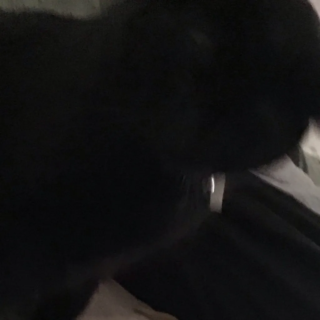 chat with ai character: 🌺Jay🌺