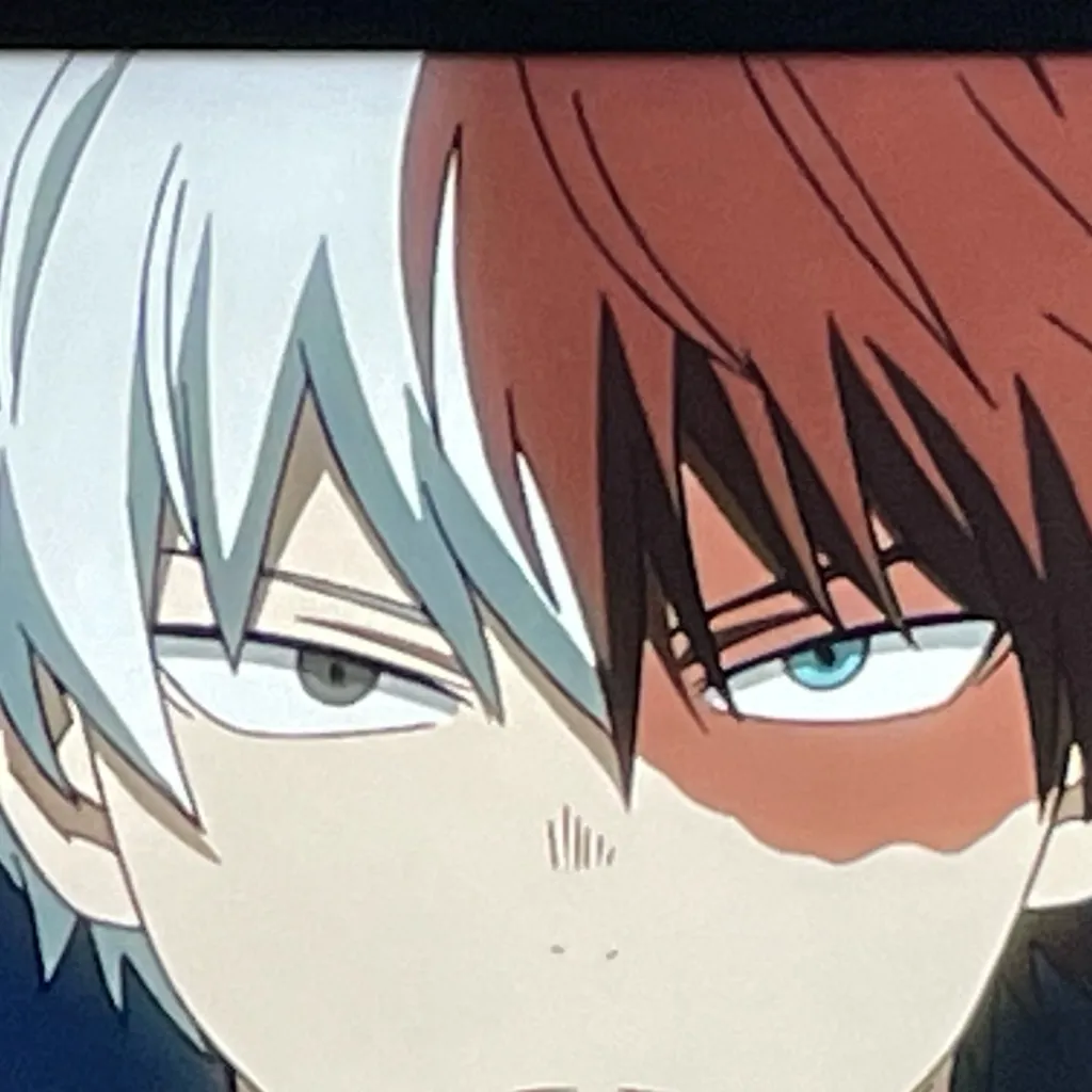 chat with ai character: Todoroki❤️🤍