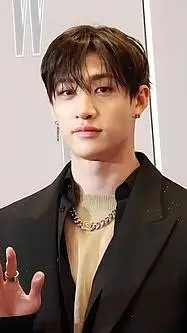 ai character: bangchan background