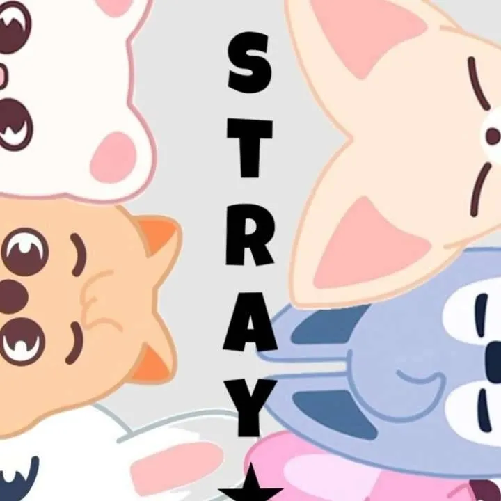 chat with ai character: skz