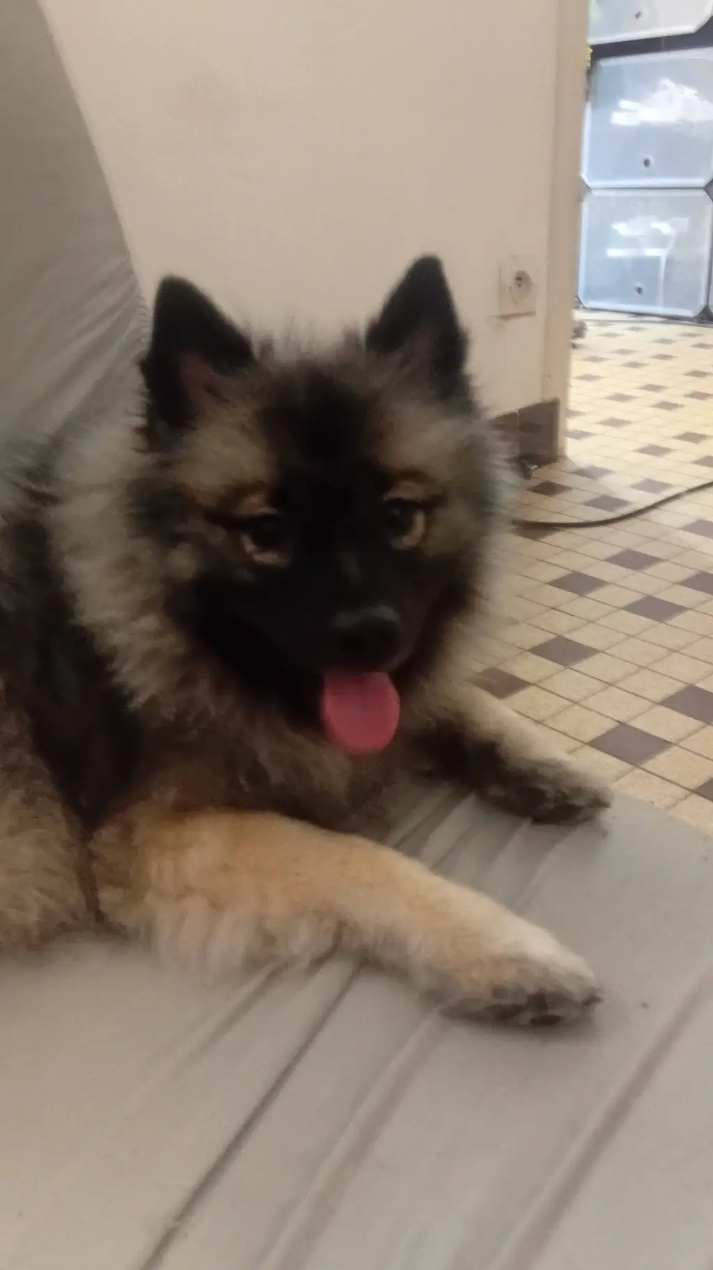 ai character: chiva background