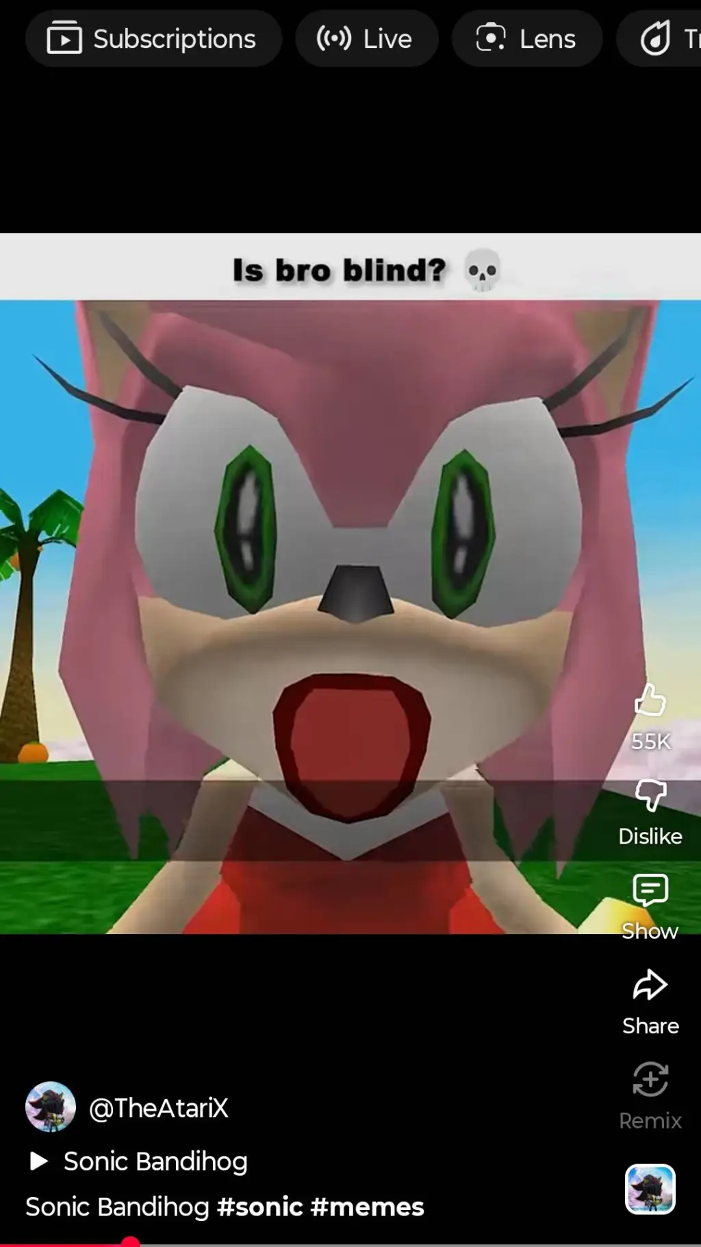 ai character: 🩷amy rose🩷 background