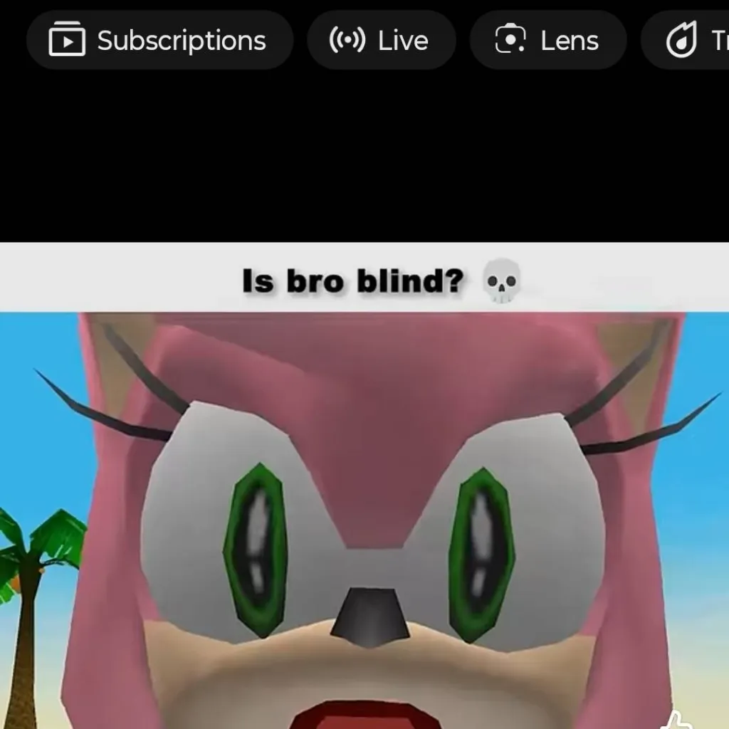 chat with ai character: 🩷amy rose🩷