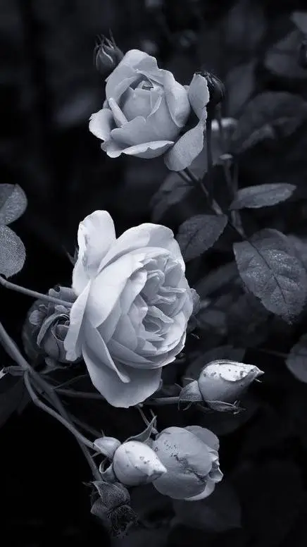 ai character: ɑׁׅᥣׁׅ֪ꫀׁׅܻ݊᥊ׁׅ background